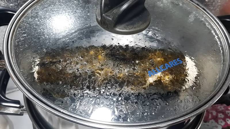 Hấp cá lóc chay