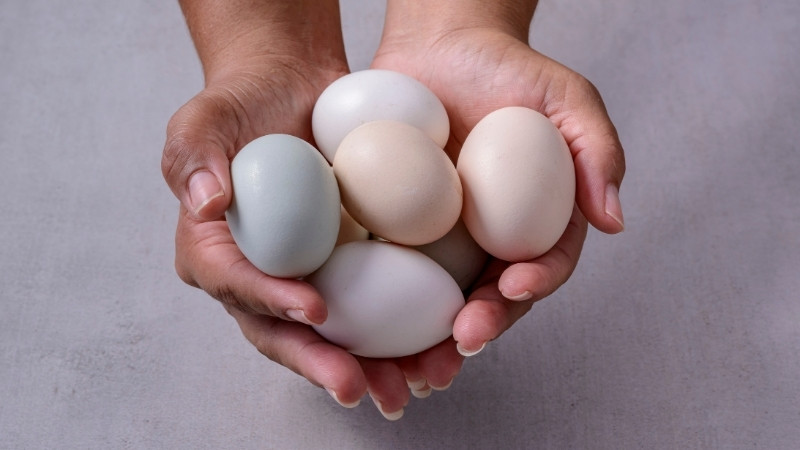 Giá trứng gà hôm nay 03/04