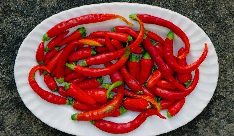 Giá ớt hôm nay 03/04/2025: Có xu hướng giảm