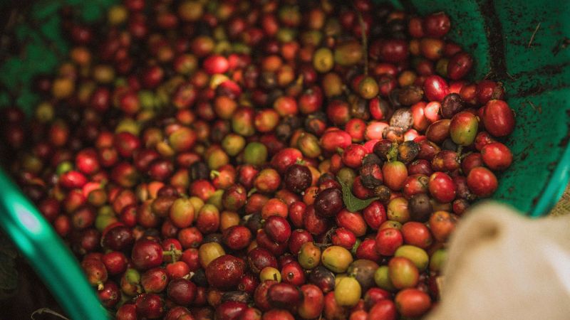 Nhận định về xu hướng giá cà phê trong thời gian tới