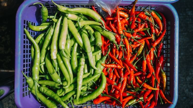 Giá ớt hôm nay 04/04/2025 trong nước