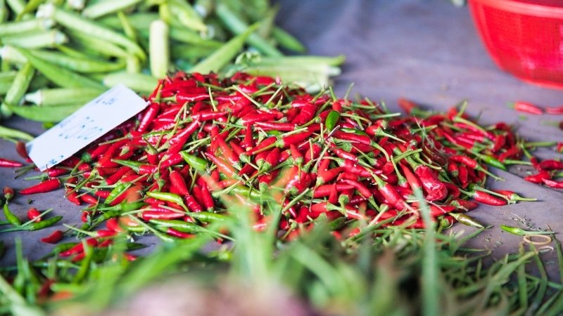 Dự báo và nhận định