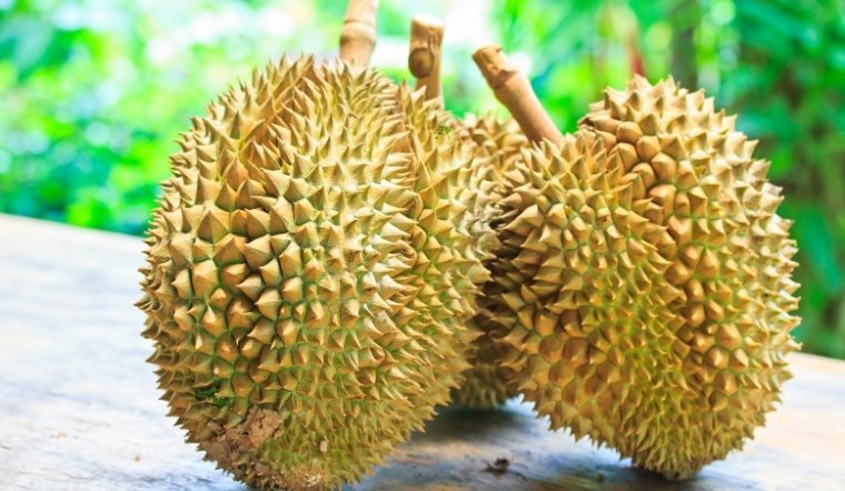 Giá sầu riêng hôm nay 05/04/2025: Sầu riêng chất lượng cao tăng