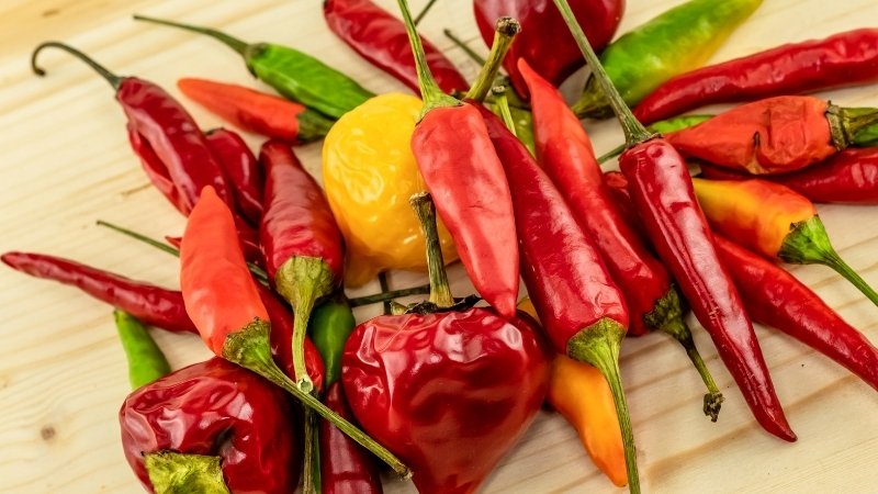 Dự báo và nhận định