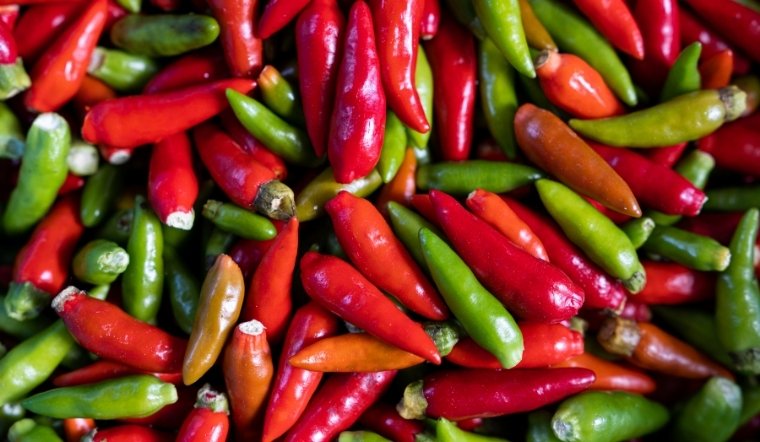 Giá ớt hôm nay 05/04/2025: Quay đầu giảm mạnh