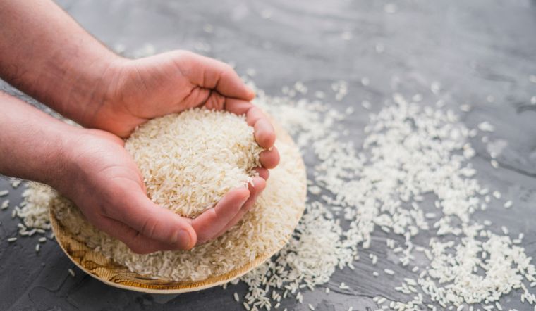 Giá lúa gạo hôm nay 8/4/2025: Giá lúa tăng, gạo giảm