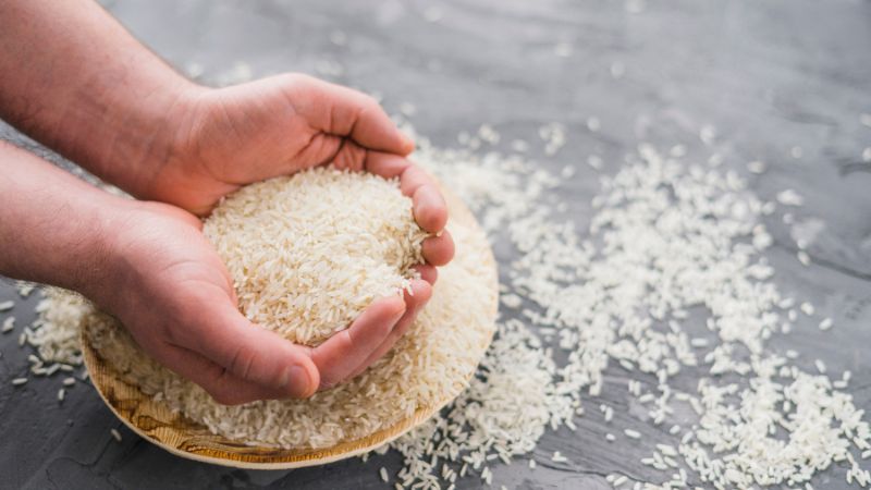 Giá lúa gạo trong nước hôm nay 8/4