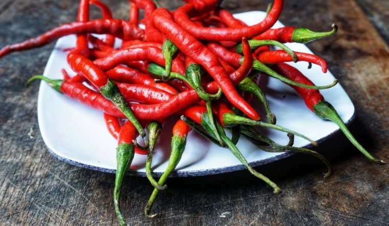 Giá ớt hôm nay 08/04/2025: Có dấu hiệu tăng mạnh trở lại