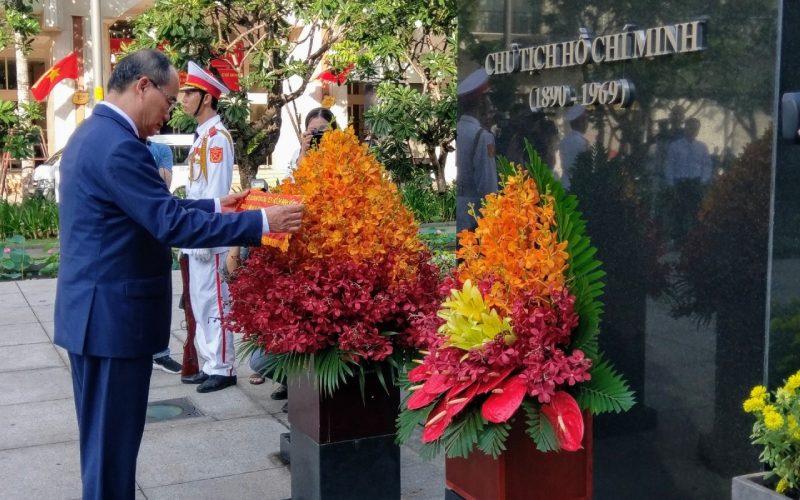 Các hoạt động hưởng ứng