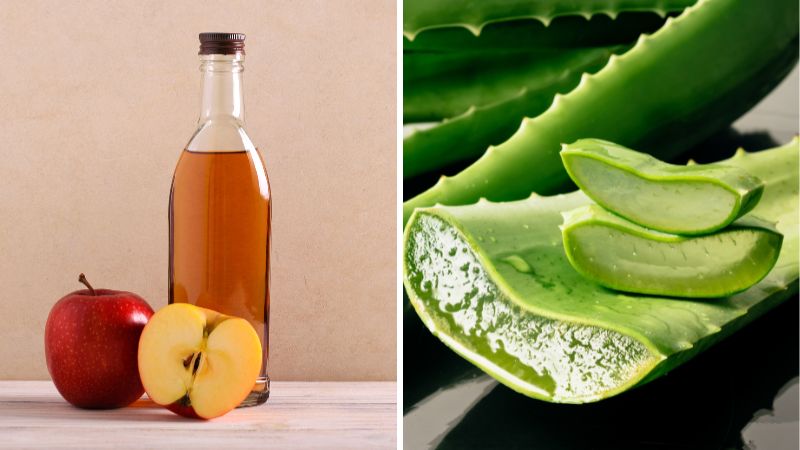 Dùng nha đam và giấm táo