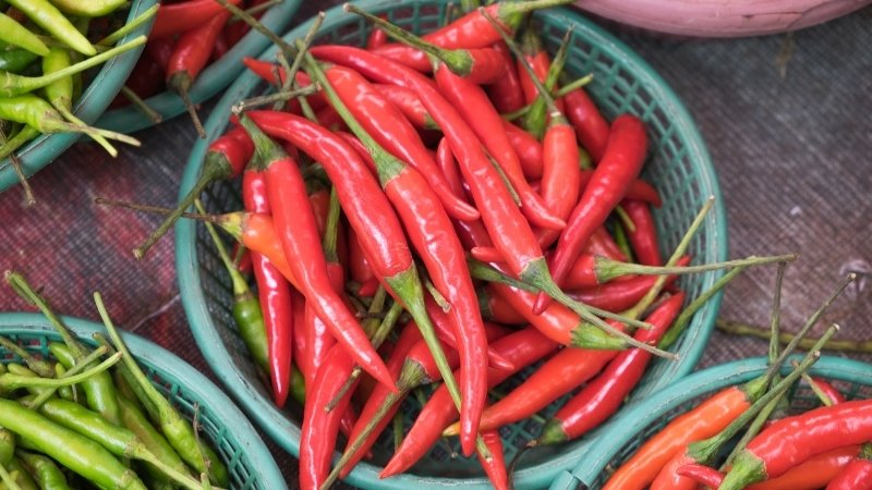 Dự báo và nhận định Dự báo và nhận định