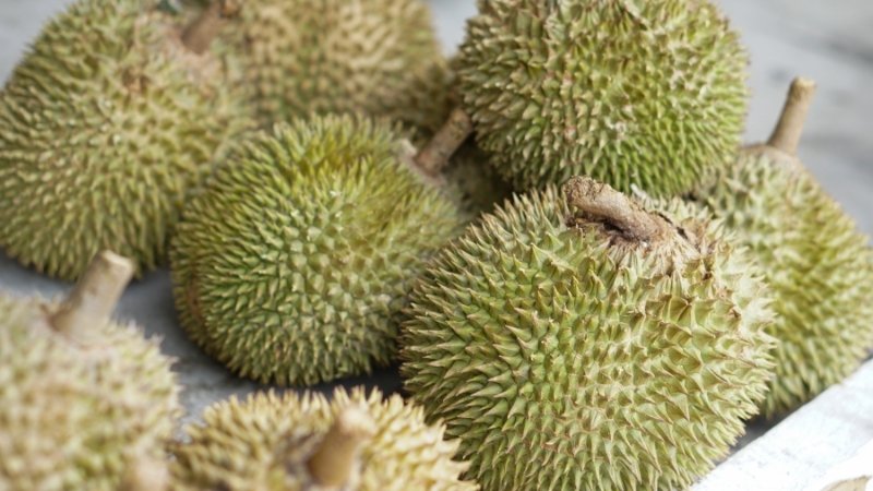 Dự báo và nhận định Dự báo và nhận định