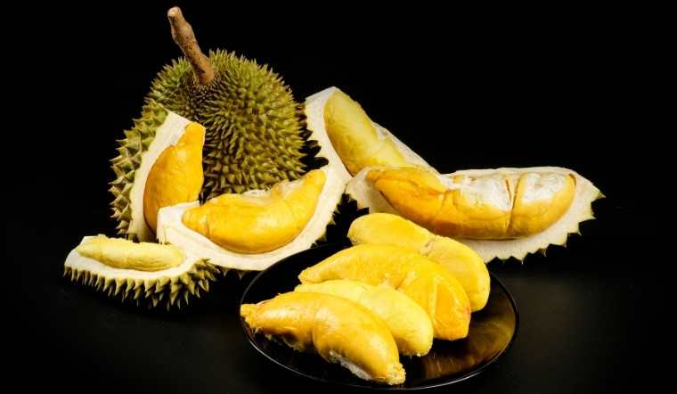Giá sầu riêng hôm nay 10/04/2025: Miền Tây giảm; miền Trung, Tây Nguyên ổn định