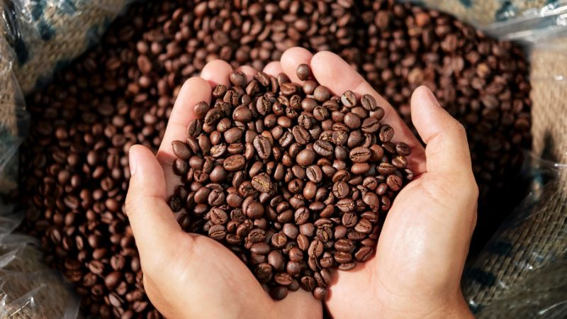 Nhận định về xu hướng giá cà phê trong thời gian tới Nhận định về xu hướng giá cà phê trong thời gian tới
