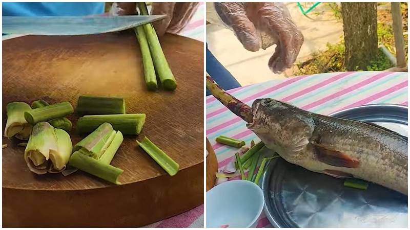 Sơ chế và ướp cá