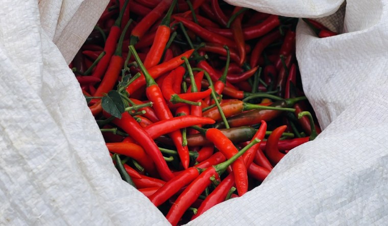 Giá ớt hôm nay 10/04/2025: Tạm ở mức cao như hôm qua