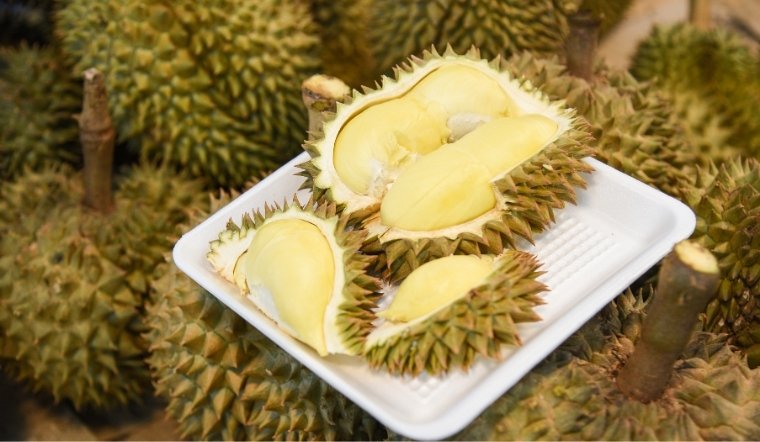 Giá sầu riêng hôm nay 11/04/2025: Biến động với xu hướng giảm