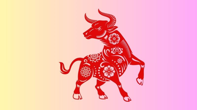 Về sự nghiệp