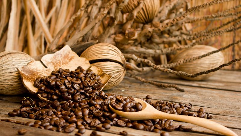 Nguyên nhân biến động