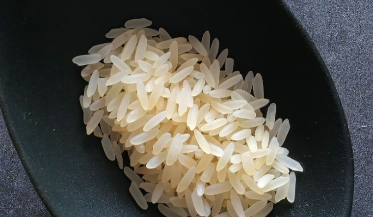 Giá lúa gạo hôm nay 12/4/2025: Tương đối bình ổn