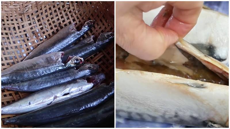 Sơ chế cá nục