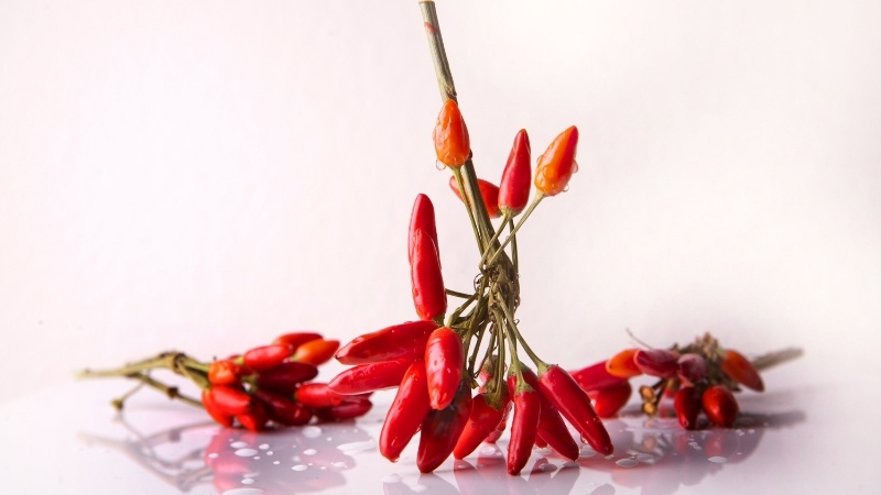 Tình hình thị trường và yếu tố ảnh hưởng