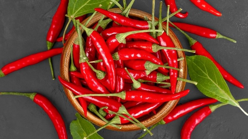 Dự báo và nhận định