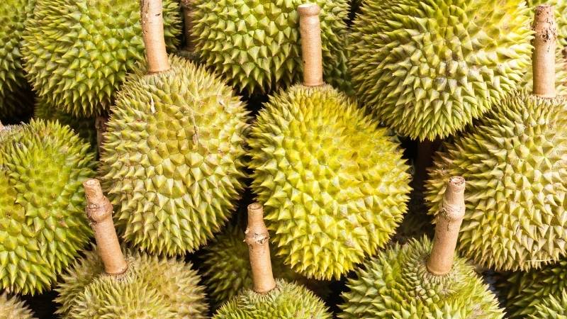 Dự báo và nhận định Dự báo và nhận định