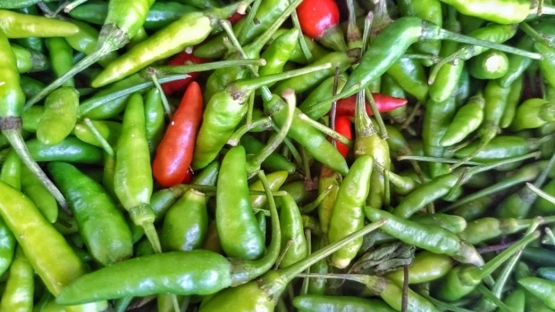 Giá ớt hôm nay 15/04/2025 trong nước