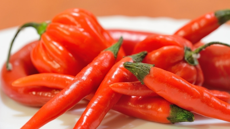 Dự báo và nhận định