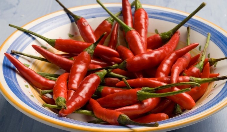 Giá ớt hôm nay 15/04/2025: Giá ớt miền Tây giảm