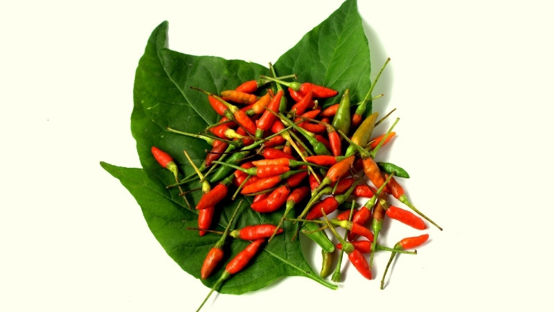 Tình hình thị trường và yếu tố ảnh hưởng Tình hình thị trường và yếu tố ảnh hưởng