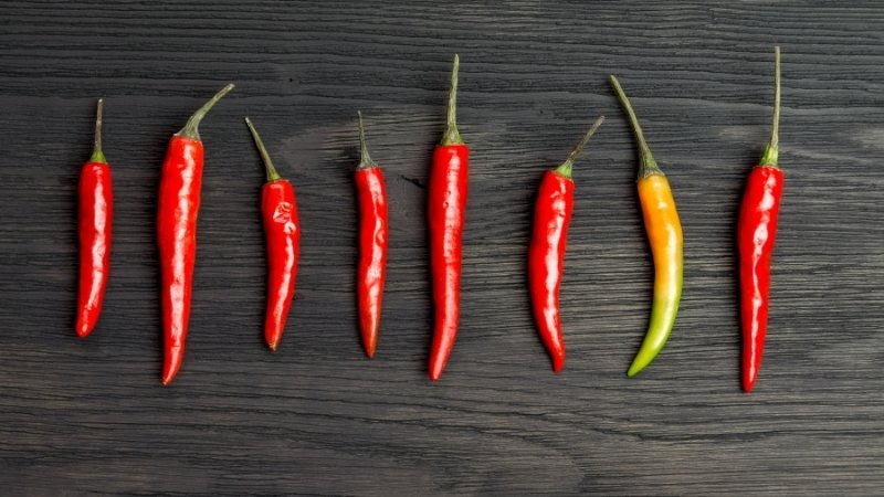 Dự báo và nhận định Dự báo và nhận định