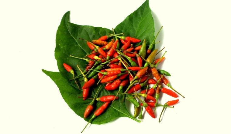 Giá ớt hôm nay 16/04/2025: Nhiều biến động khó lường