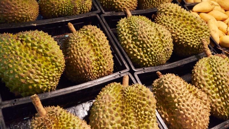 Dự báo và nhận định Dự báo và nhận định