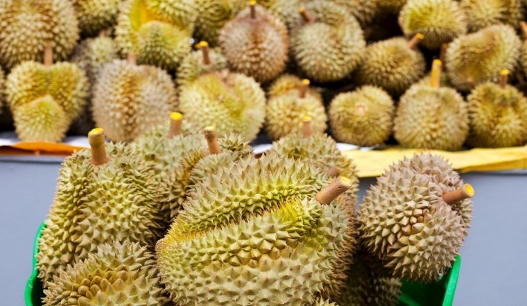 Giá sầu riêng hôm nay 17/04/2025: Tăng nhẹ trở lại