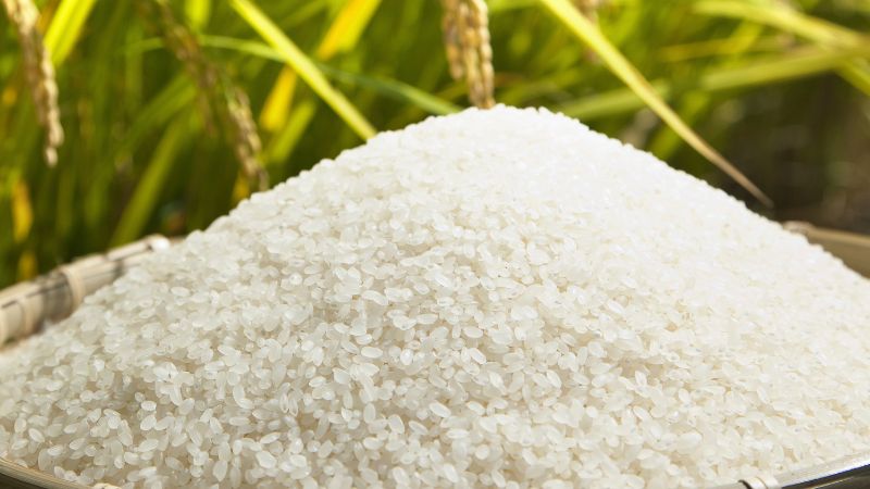 Giá lúa gạo trong nước hôm nay 16/4