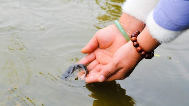 Các phong tục phổ biến vào rằm tháng 7