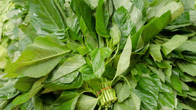 Giá trị dinh dưỡng của rau dền