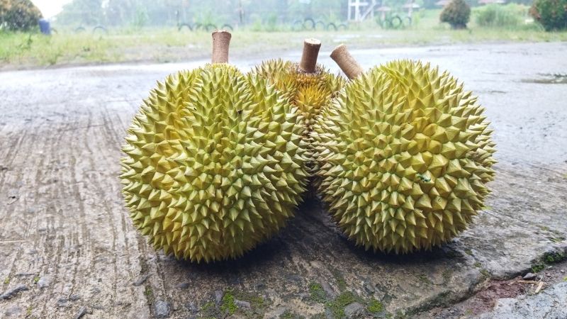Tình hình thị trường quốc tế