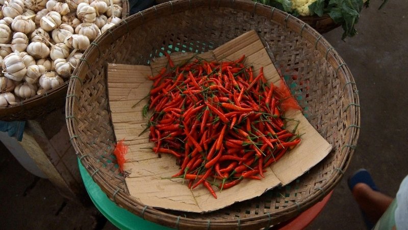 Dự báo và nhận định Dự báo và nhận định