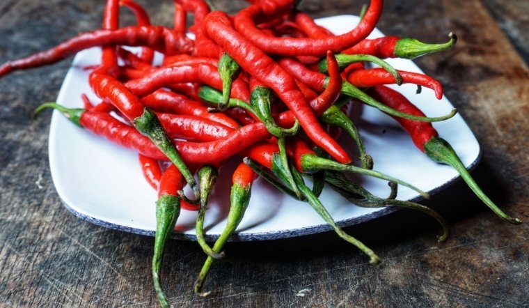 Giá ớt hôm nay 19/04/2025: Xu hướng tăng nhẹ