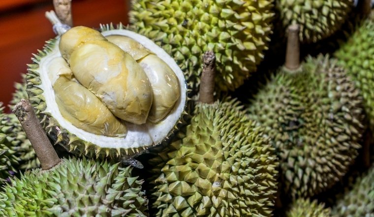Giá sầu riêng hôm nay 21/04/2025: Đầu tuần nhích nhẹ
