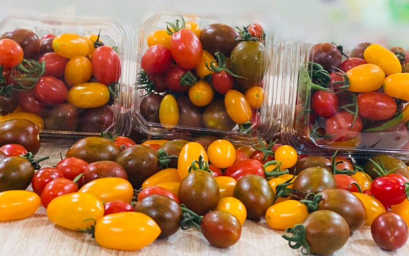 Chữa cháy nắng bằng cà chua