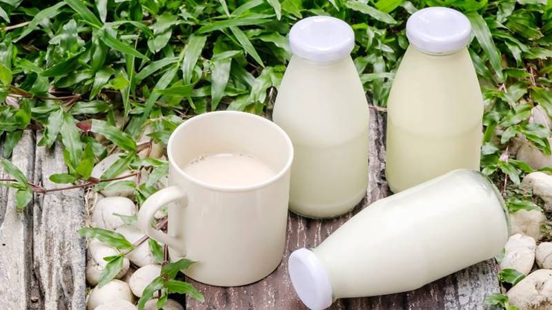 Sử dụng sữa tươi