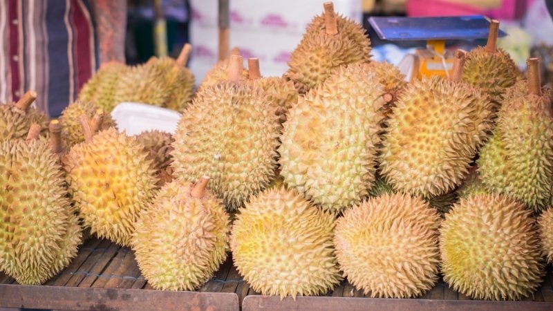 Giá sầu riêng hôm nay trong nước Giá sầu riêng hôm nay trong nước
