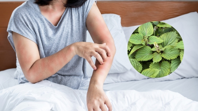 Làm dịu các triệu chứng dị ứng