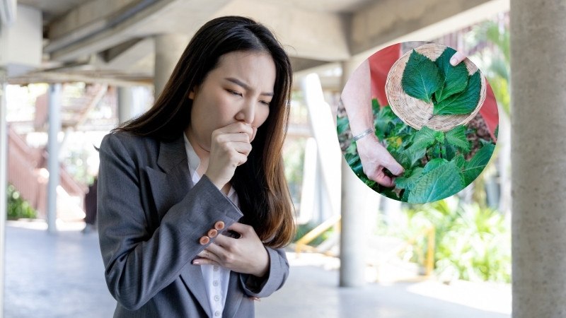 Hỗ trợ điều trị các vấn đề về hô hấp