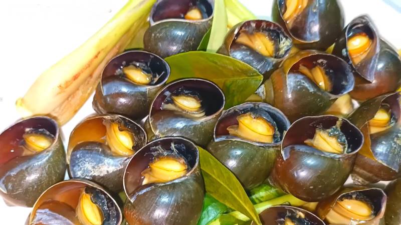 cách làm ốc bươu hấp sả