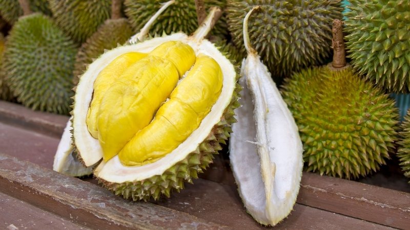 Giá sầu riêng hôm nay trong nước Giá sầu riêng hôm nay trong nước